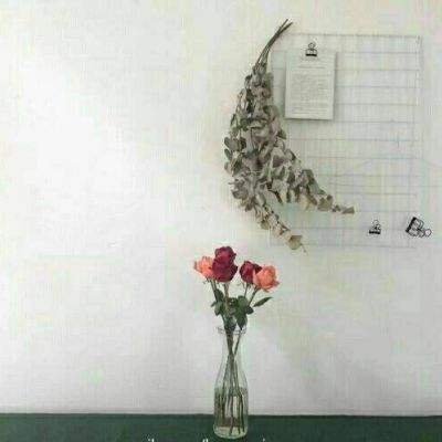 变变西游游戏下载